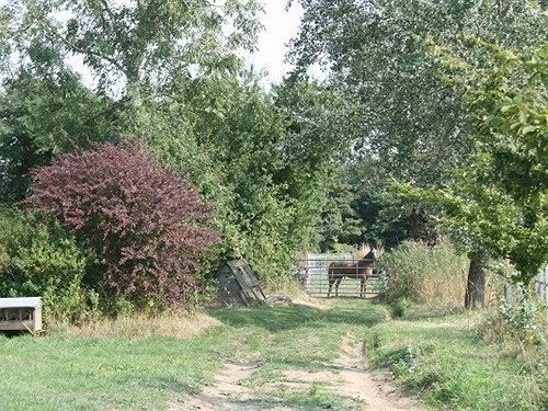 Red House Farm Accommodation Tivetshall Saint Margaret Exteriör bild